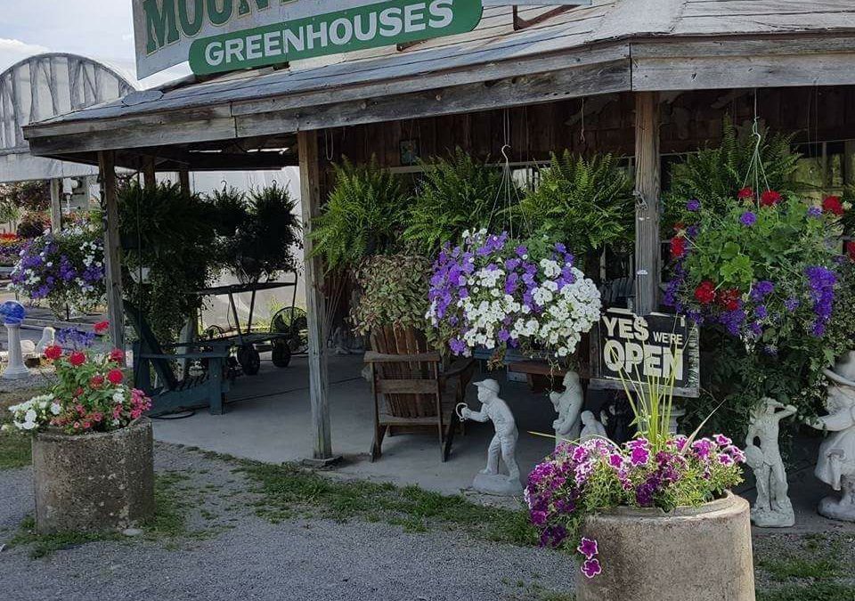 Mountain Top Greenhouses