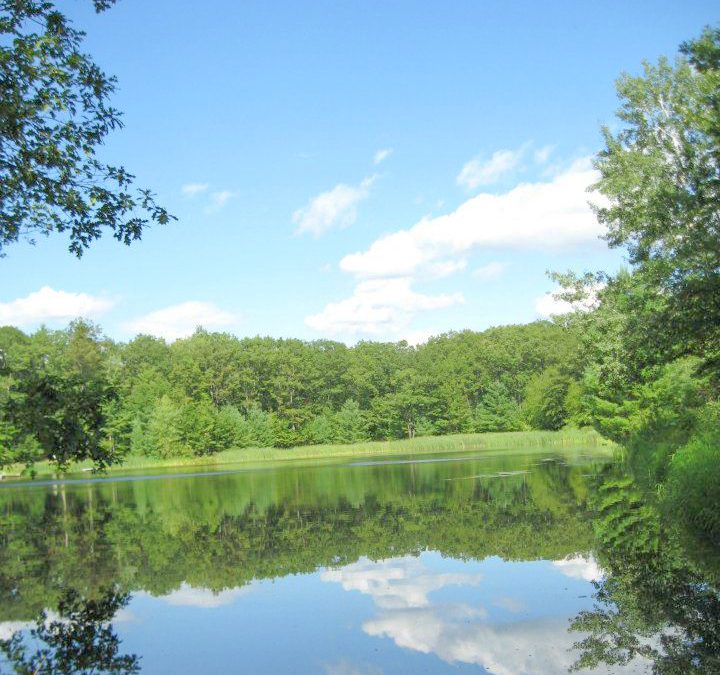 Aspen Family Campground