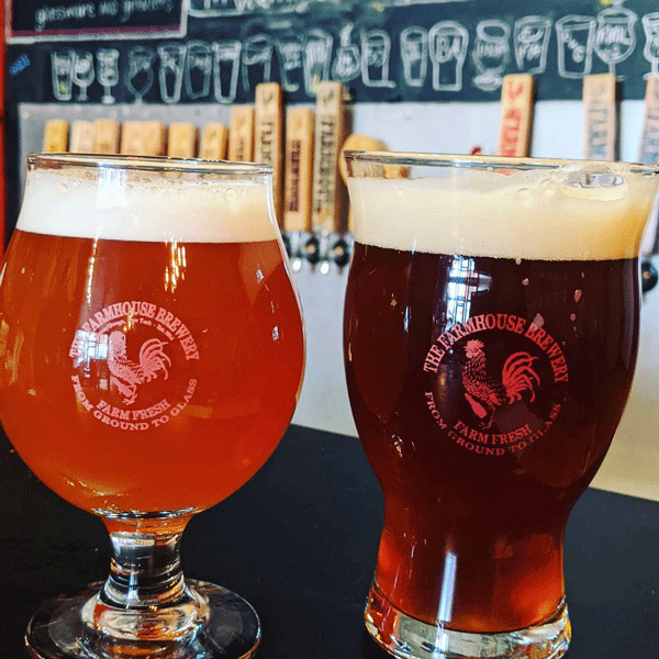 Farmhouse-Brewery-Taproom-Owego-Tioga-County-NY-Beer-Pints