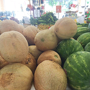 Iron-Kettle-Farm-Candor-Melons-Tioga-County