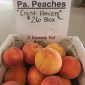 Iron-Kettle-Farm-Candor-Peaches-Tioga-County