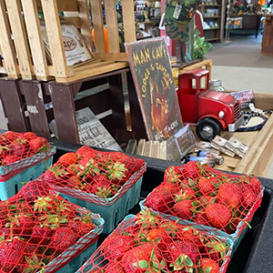Iron-Kettle-Farm-Candor-Strawberries-and-Gifts-Tioga-County-NY