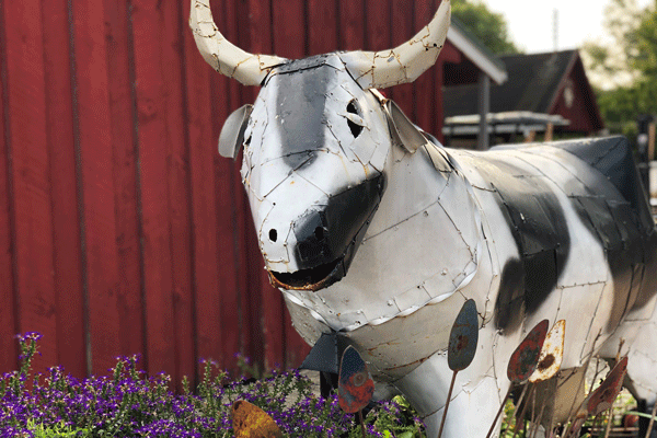 Iron-Kettle-Farm-Metal-Cow-Candor-Tioga-County-NY