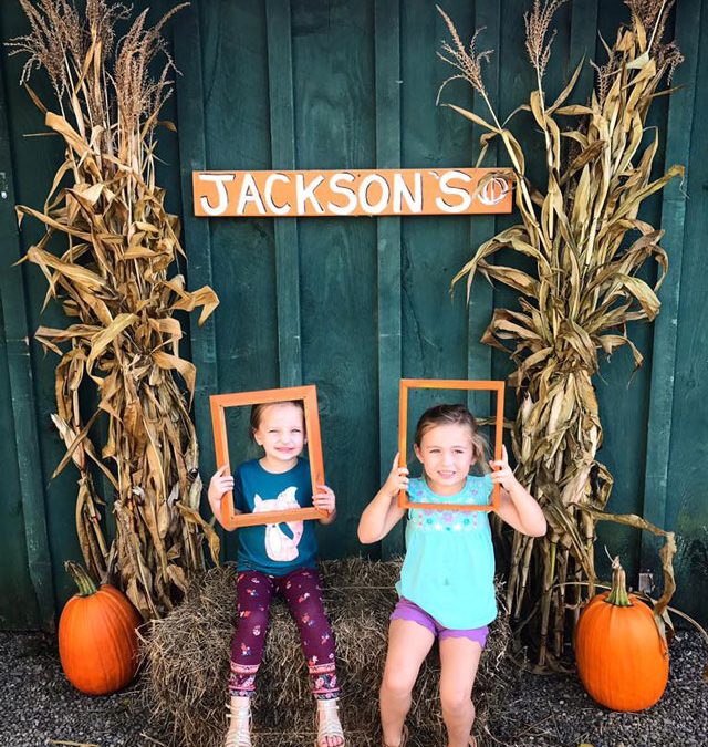 Jacksons Pumpkin Farm