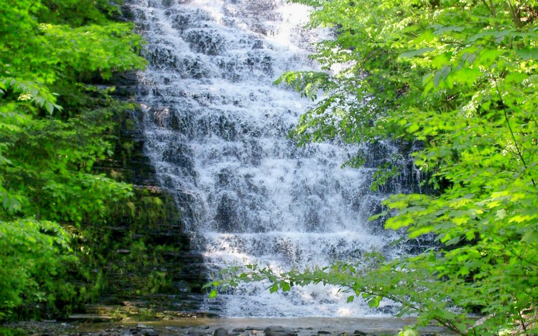 Quirky and Quaint Waverly