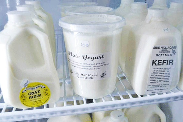 Side-Hill-Acres-Candor-Goat-Milk-Tioga-County-NY