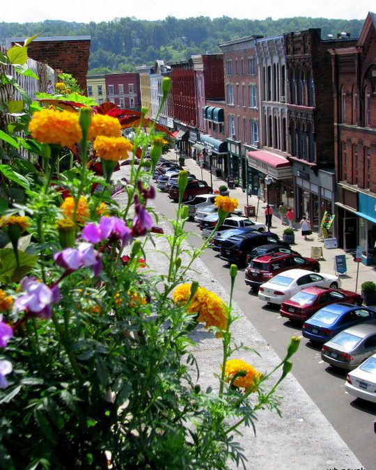 View from Beer Garden